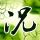 00后小伙在游戏里“重建”母校